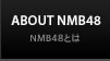NMB48とは